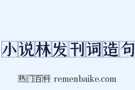 小说林发刊词造句是什么意思的图片